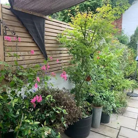 Blachington Cottage, Stunning And Central By Air Premier Seaford Exterior foto