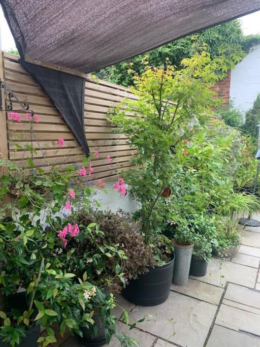 Blachington Cottage, Stunning And By Air Premier Holiday home *